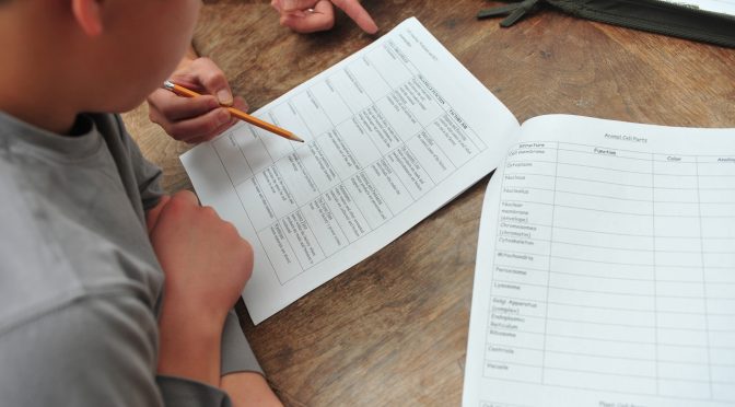 Tips Mendapatkan Nilai Bagus Dalam Ujian Matematika