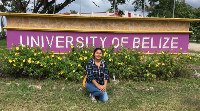 Rekomendasi Universitas Di Belize Yang Terbaik